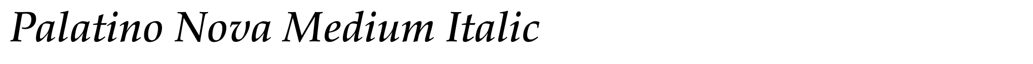 Palatino Nova Medium Italic image